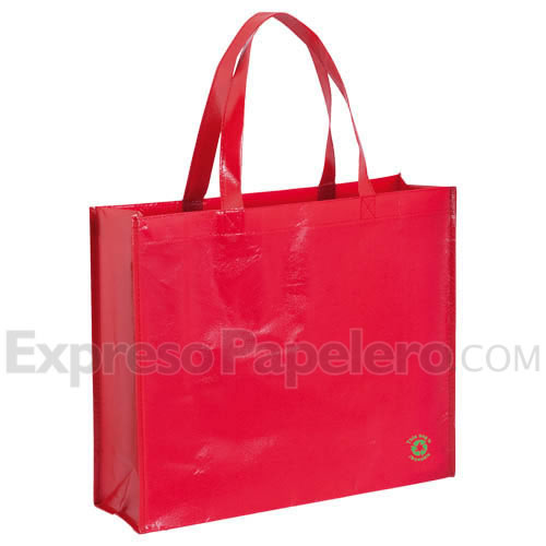 Bolsas de Rafia Ecológicas